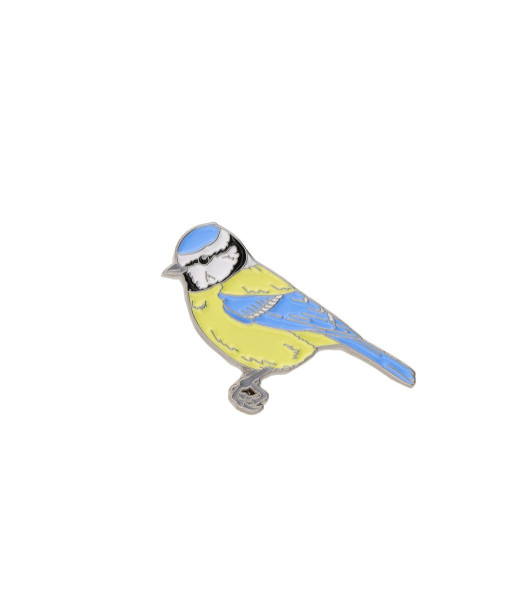 Nozīmīte Zilzīlīte